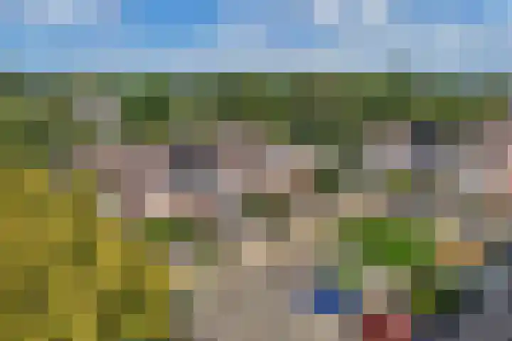 Zaan 2 Emmeloord thumbnail 12