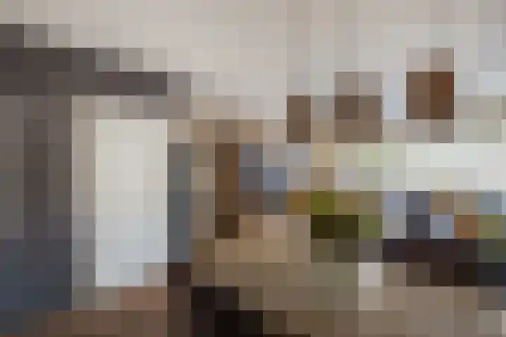 Zaan 2 Emmeloord thumbnail 16
