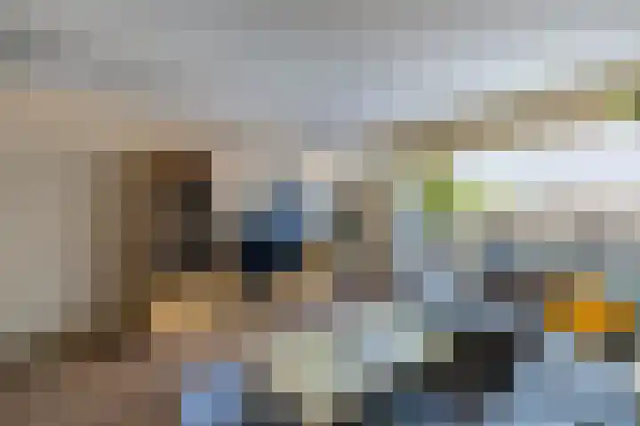Zaan 2 Emmeloord thumbnail 18