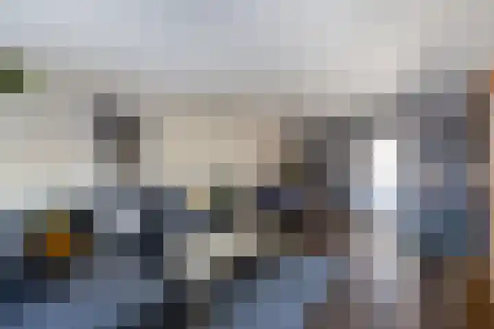 Zaan 2 Emmeloord thumbnail 19