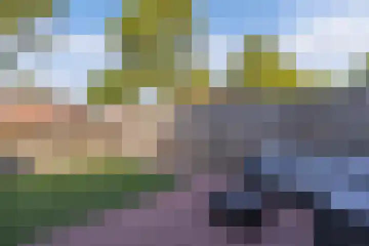 Zaan 2 Emmeloord thumbnail 24