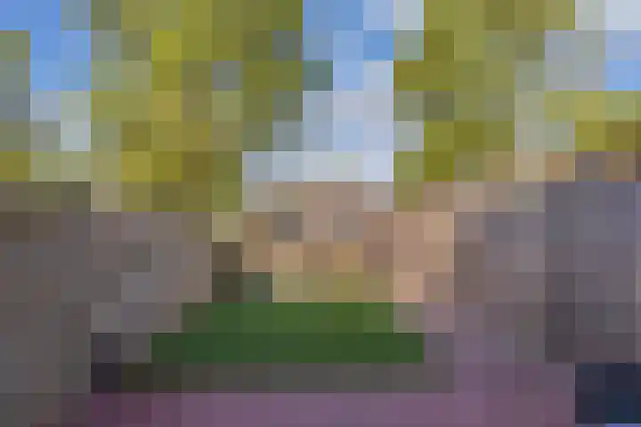 Zaan 2 Emmeloord thumbnail 25