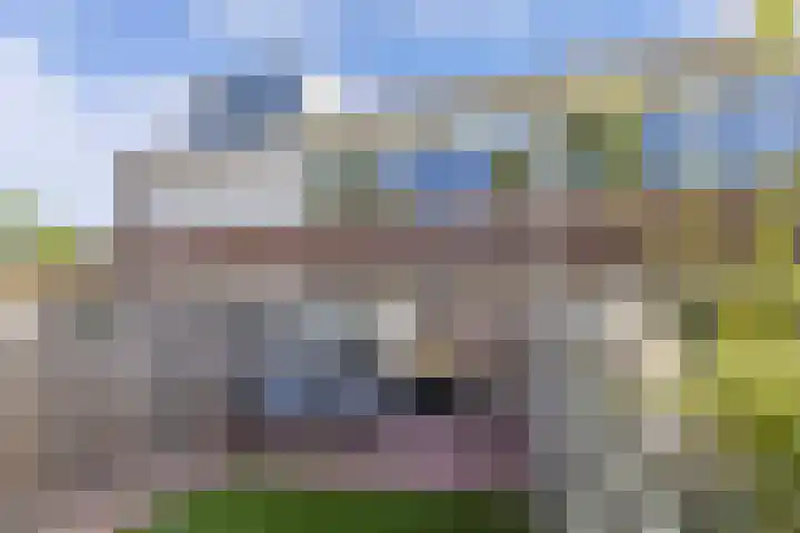 Zaan 2 Emmeloord thumbnail 28