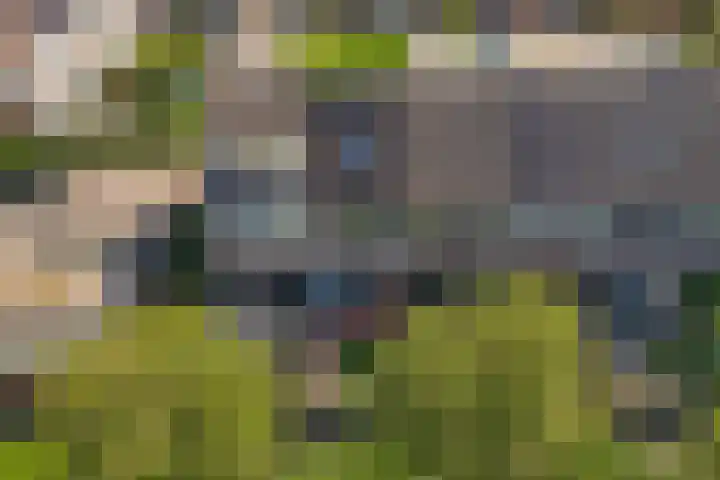 Zaan 2 Emmeloord thumbnail 29