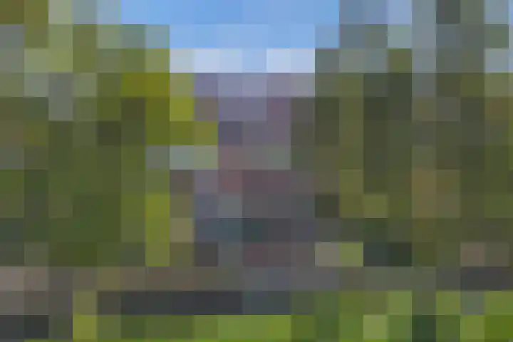 Zaan 2 Emmeloord thumbnail 30