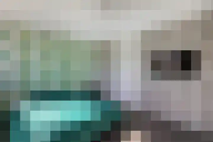 Zaan 2 Emmeloord thumbnail 33