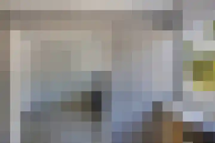 Zaan 2 Emmeloord thumbnail 36