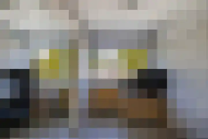 Zaan 2 Emmeloord thumbnail 37