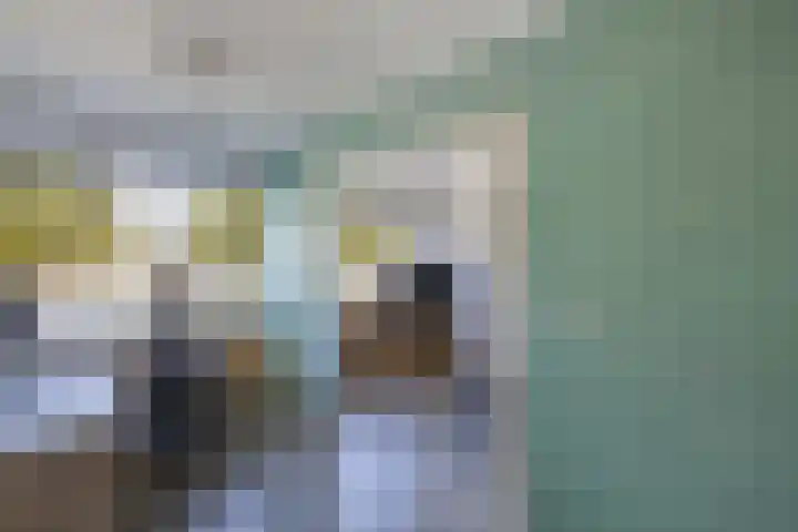 Zaan 2 Emmeloord thumbnail 38