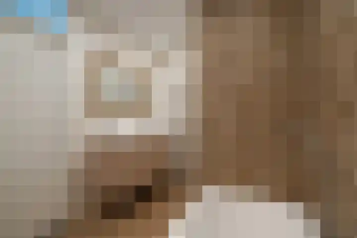 Zaan 2 Emmeloord thumbnail 40