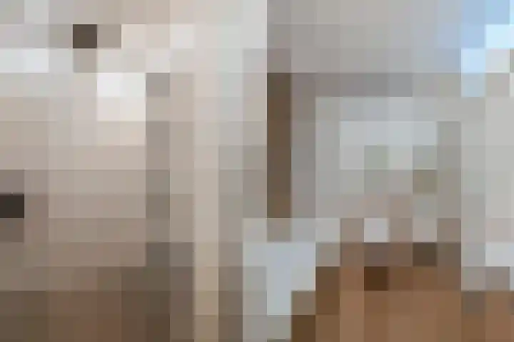 Zaan 2 Emmeloord thumbnail 41
