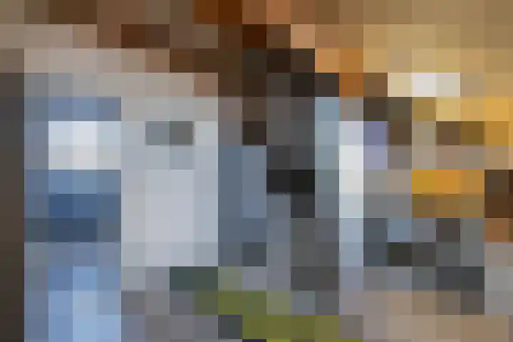 Zaan 2 Emmeloord thumbnail 42