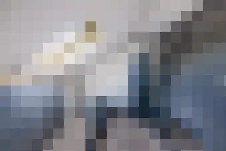 Zaan 2 Emmeloord thumbnail 44