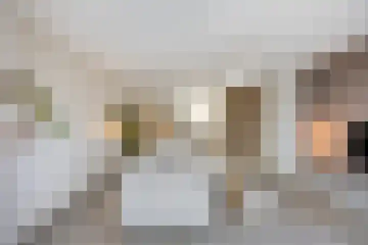 Zaan 20 Pijnacker thumbnail 13