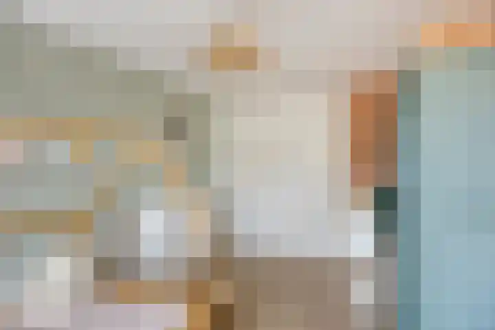 Zaan 20 Pijnacker thumbnail 20