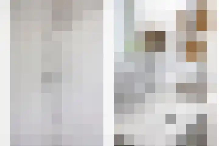 Zaan 20 Pijnacker thumbnail 22