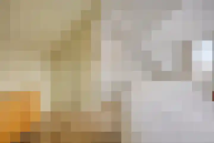 Zaan 20 Pijnacker thumbnail 29