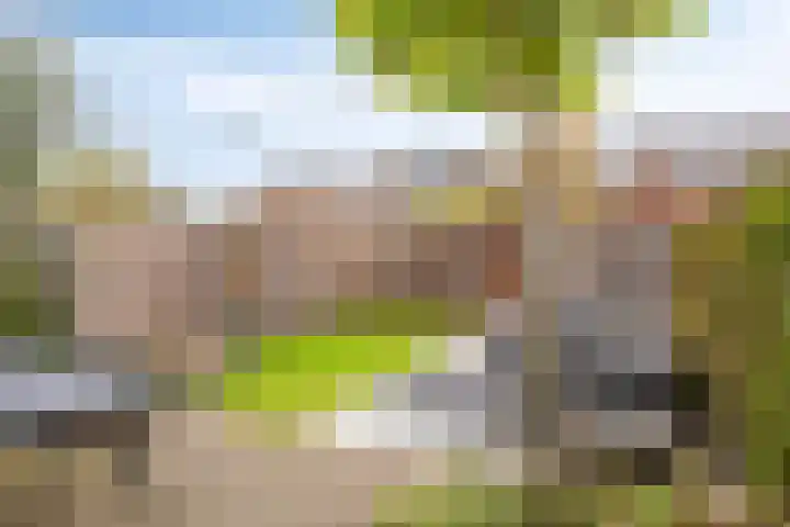 Zaan 20 Pijnacker thumbnail 32