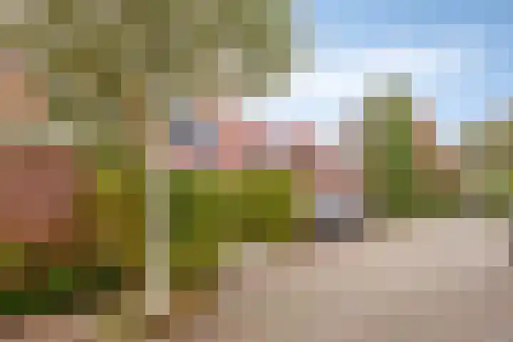 Zaan 20 Pijnacker thumbnail 5