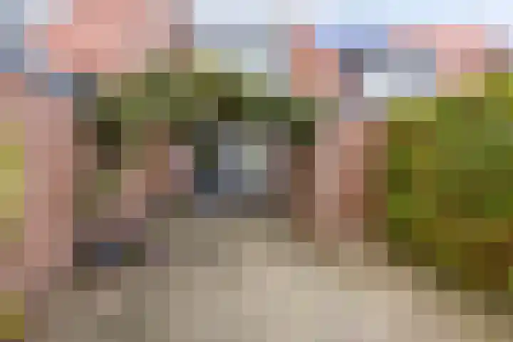 Zaan 20 Pijnacker thumbnail 6