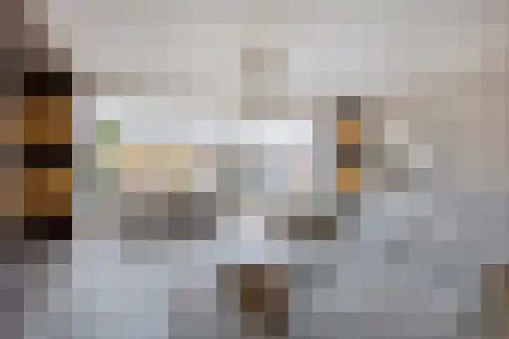 Zaan 20 Pijnacker thumbnail 9