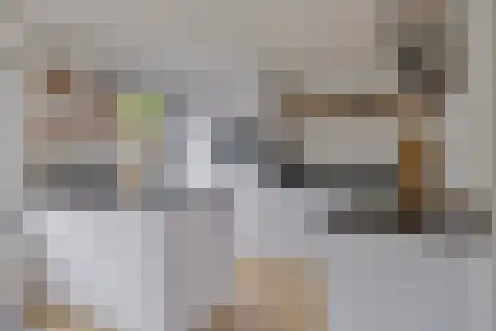 Zaan 21 Zwolle thumbnail 10