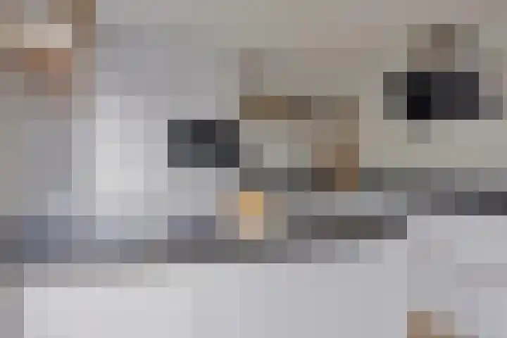 Zaan 21 Zwolle thumbnail 11