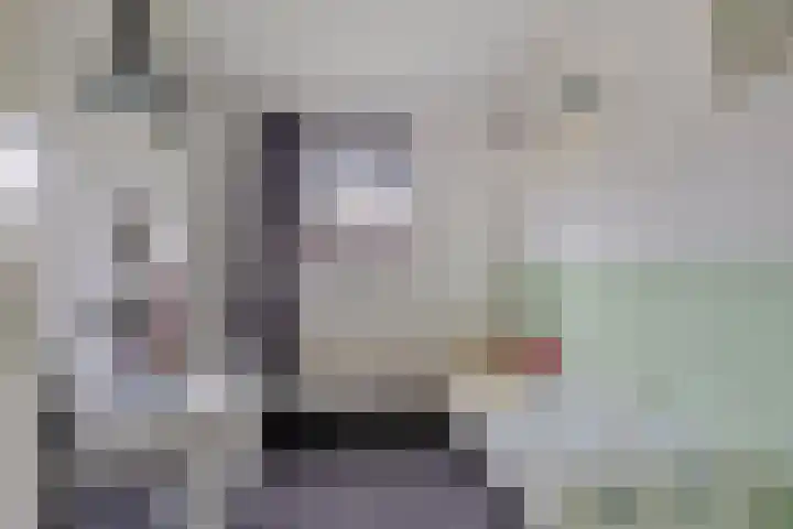 Zaan 21 Zwolle thumbnail 22