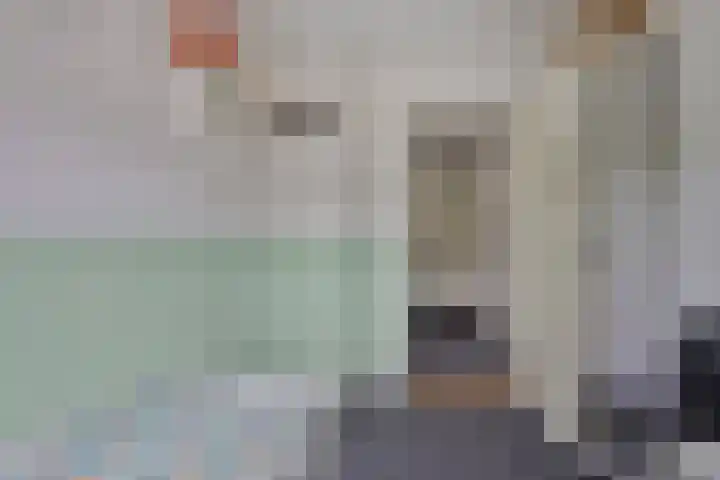 Zaan 21 Zwolle thumbnail 23