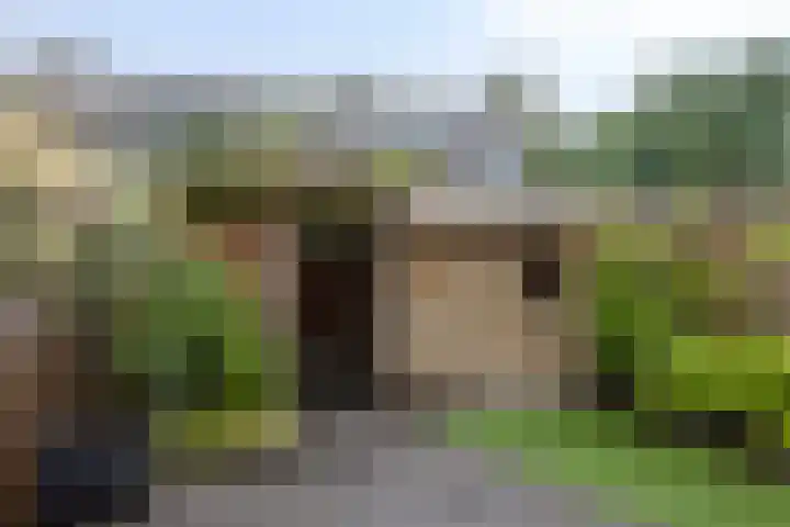 Zaan 21 Zwolle thumbnail 30