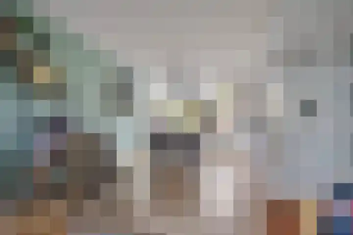 Zaan 21 Zwolle thumbnail 6