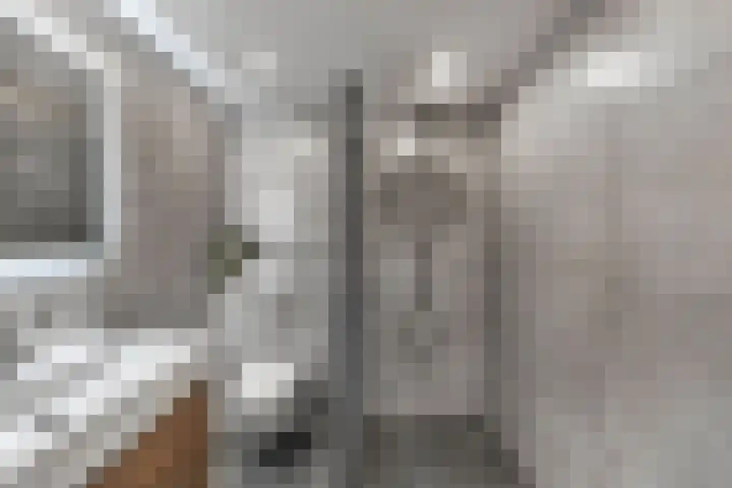 Zaan 3 Emmeloord thumbnail 22
