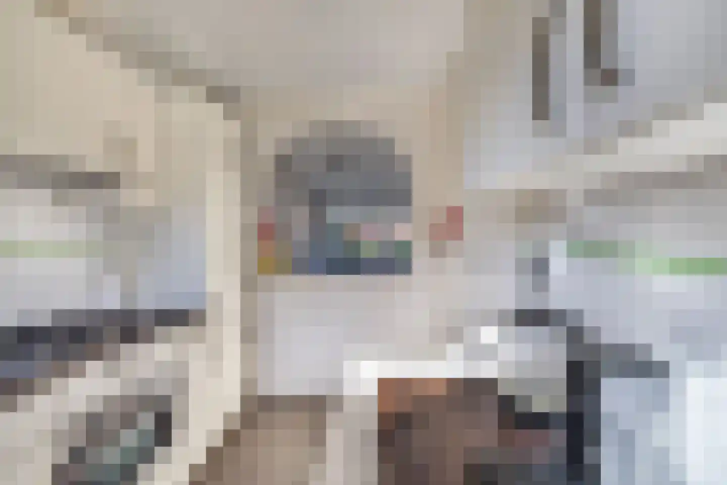 Zaan 3 Emmeloord thumbnail 5