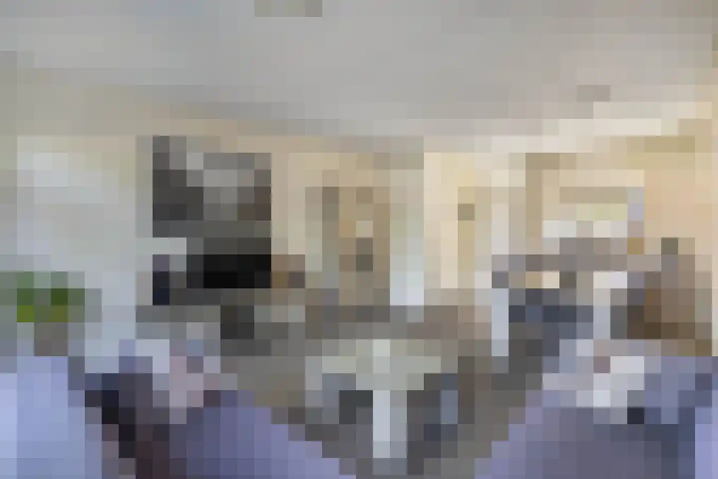Zaan 3 Emmeloord thumbnail 7