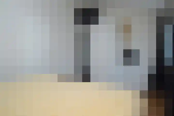 Zaan 39 Deurne thumbnail 14