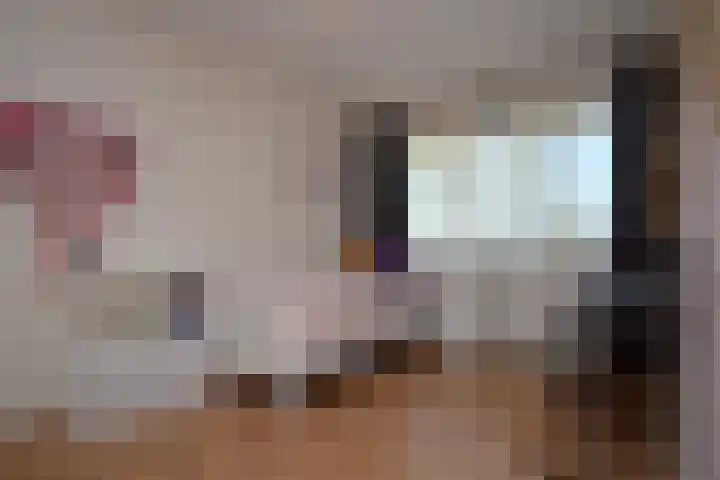 Zaan 39 Deurne thumbnail 15