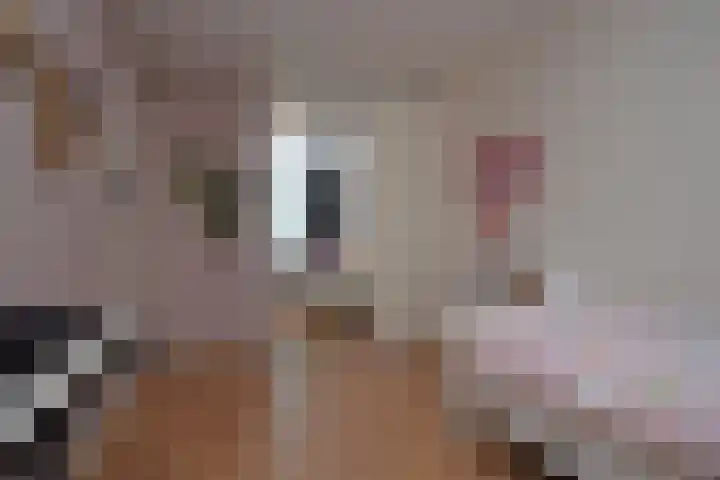 Zaan 39 Deurne thumbnail 16