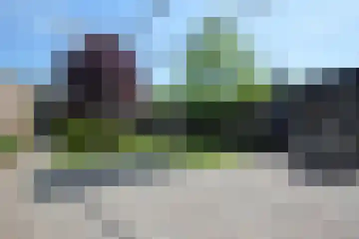 Zaan 39 Deurne thumbnail 23