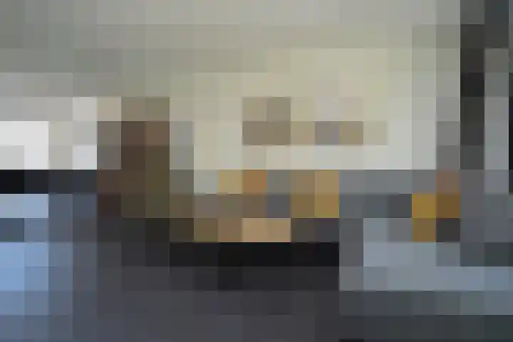Zaan 39 Deurne thumbnail 4