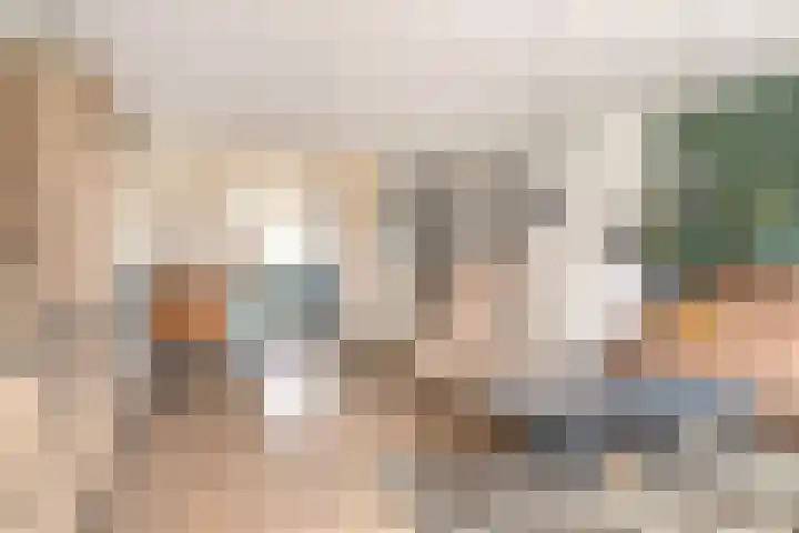 Zaan 4 Pijnacker thumbnail 11