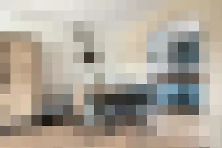Zaan 4 Pijnacker thumbnail 12