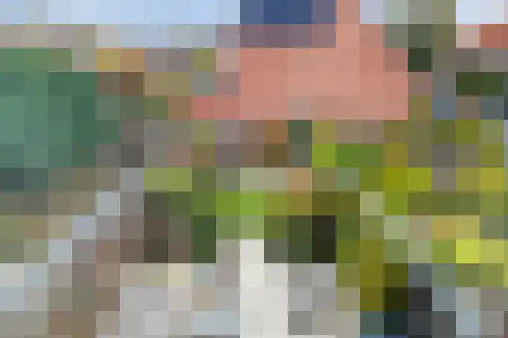 Zaan 4 Pijnacker thumbnail 23