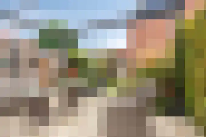 Zaan 4 Pijnacker thumbnail 24