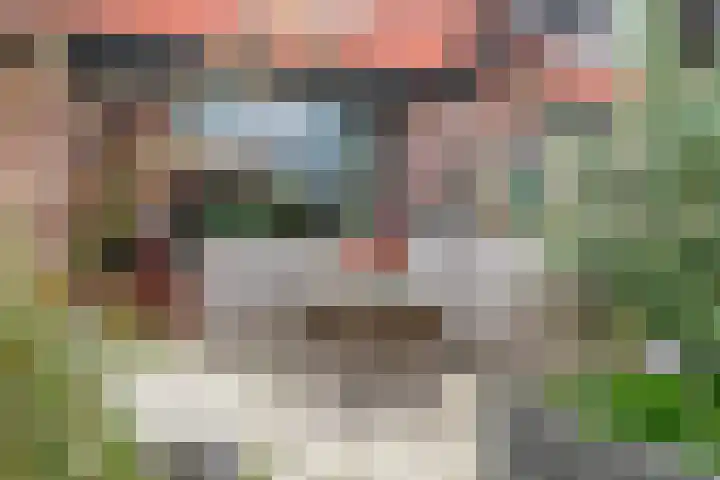 Zaan 4 Pijnacker thumbnail 25