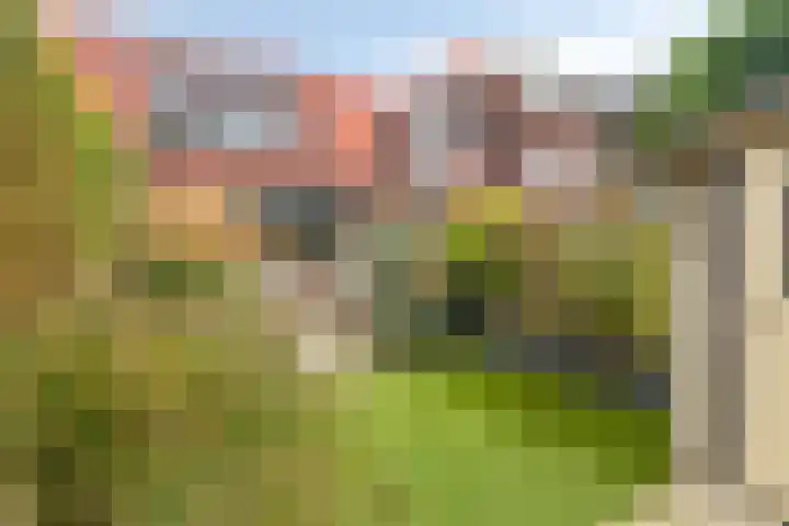 Zaan 4 Pijnacker thumbnail 27
