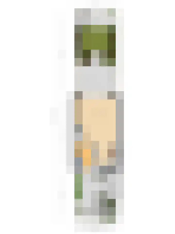 Zaan 4 Pijnacker thumbnail 28