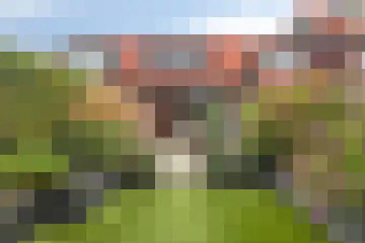Zaan 4 Pijnacker thumbnail 5