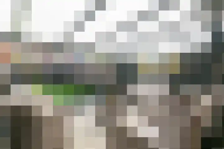 Zaan 9 Wijk bij Duurstede thumbnail 10