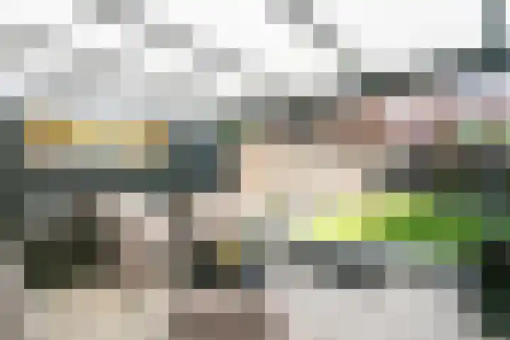 Zaan 9 Wijk bij Duurstede thumbnail 11
