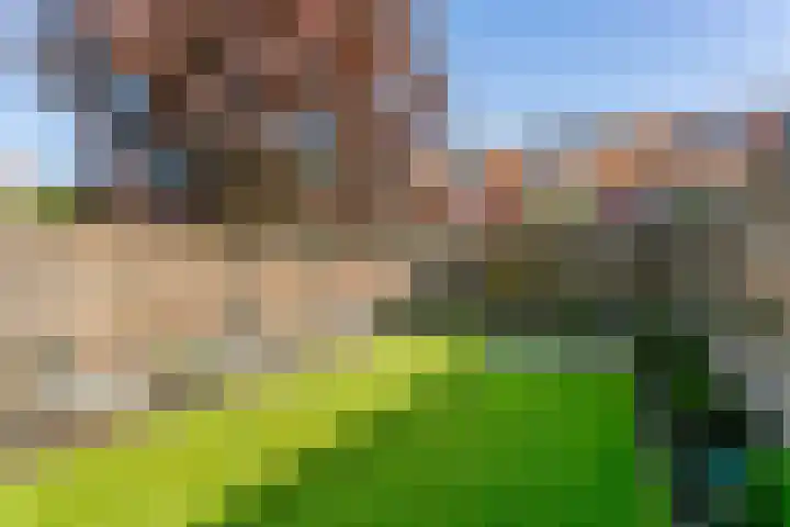 Zaan 9 Wijk bij Duurstede thumbnail 13